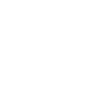 dk logo